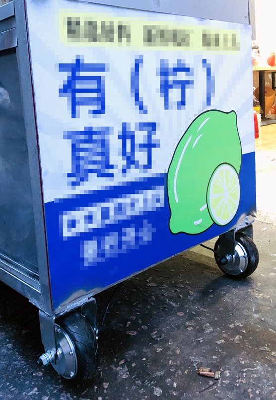 2WD 6.5 inch gear motor cart