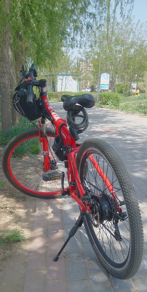 brushless hub motor rear drive mounted